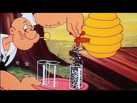 Popeye el Marino - Un Inocente Picnic | 1954 | Español Latino
