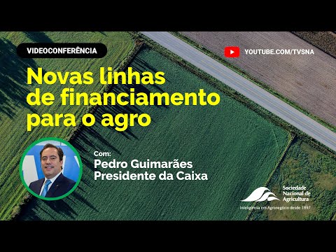 Novas linhas de financiamento para o agro