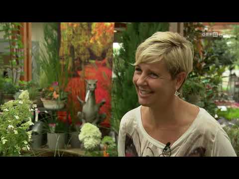 Micko Gartentipp Schmetterlinge