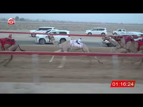  ش 3 (الشاهينيه) لـ عتيق بن محمد المهيري 2:54 ، شارة الصندوق 2026/08/24 فطامين سويحان