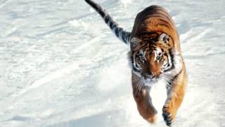 BRIAN HOLLAND.....I'M SO GLAD....