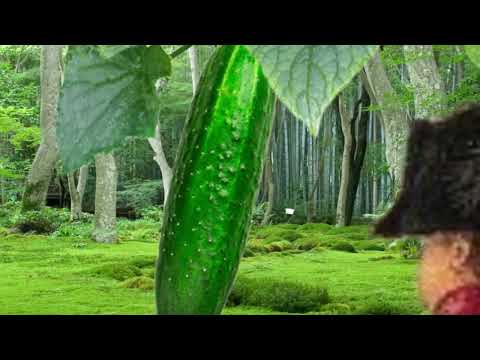 НАПОЛЕОН НА ОГУРЦЕ. ИСТОРИЯ НАПОЛЕОНА НА ОГУРЦЕ