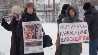 Свой регион Северодвинск: ОХОТНИКИ ПРОТИВ ЗООЗАЩИТНИКОВ