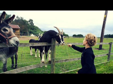 BEST CARAVAN SITE FOR CHILDREN UK. Family friendly camp site cinematic video