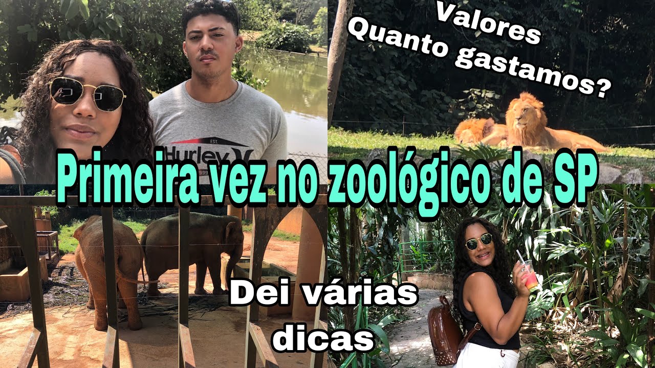 PRIMEIRA VEZ NO ZOOLOGICO DE SP | DICAS E VALORES + QUANTO GASTAMOS #zoologico #valores #saopaulo