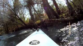 Mountain Fork River Trip Part 2