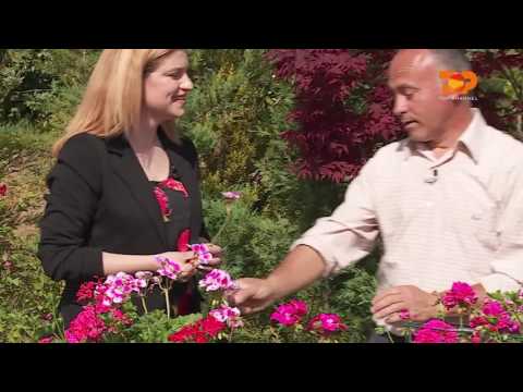 Ne Shtepine Tone, 18 Maj 2017, Pjesa 4 - Top Channel Albania - Entertainment Show