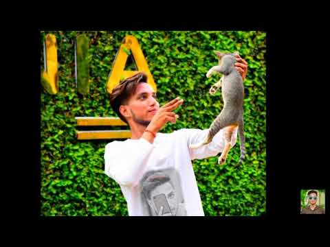 Sachin Rastogi || Short Video || Cute Cat || Video