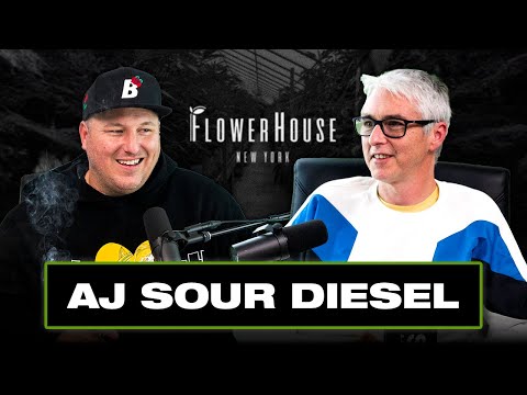 AJ Sour Diesel: The Sour Diesel Saga, Unraveling the Birth of a Legendary Strain