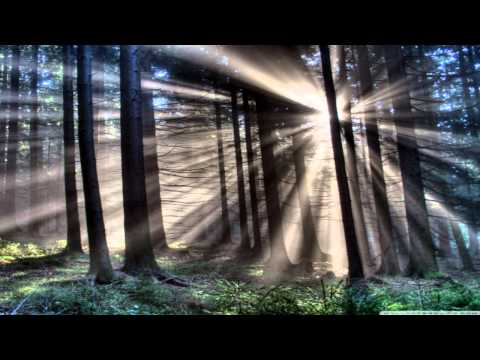 LoQuai - Morning Sun (Original Mix)