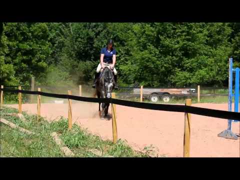 Late to the Party - Flat