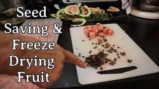 Seed Saving & Freeze Drying Fruit