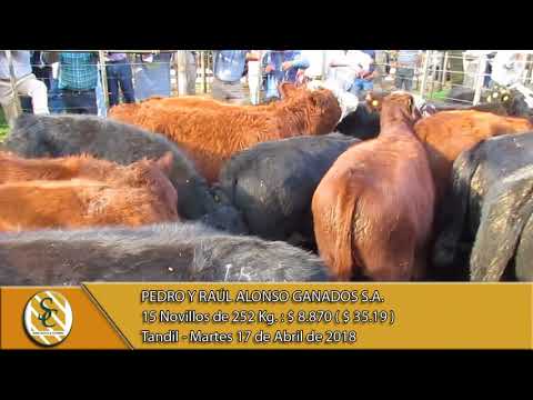 17-04-18 Venta de Machos - Pedro y Raúl Alonso Ganados S.A. - Tandil