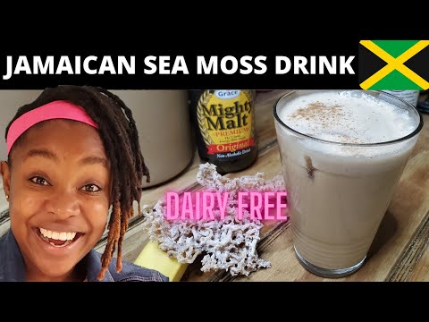 99 Problems and SEA MOSS Solved 92 of them || How to make Irish Moss Drink || Sea Moss Gel