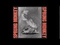 Sprung Monkey - No Solution