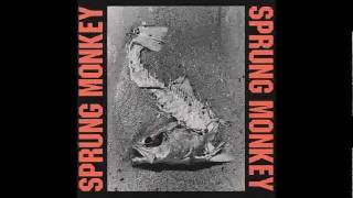 Sprung Monkey - No Solution
