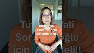 Tutuklu Vali Sonel ve oğlu için kritik delil ne?