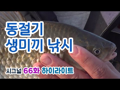 [FTV] Signal Episode 66 - Winter Live Bait Fishing (Highlights)