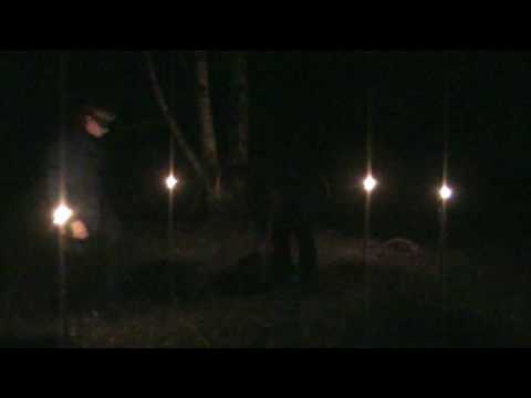 proto/kolle - walden 1 - at grave et hul