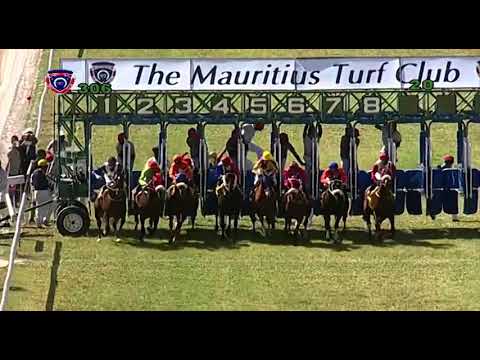 RM30 R6 | Toro Bravo | A.Aucharuz