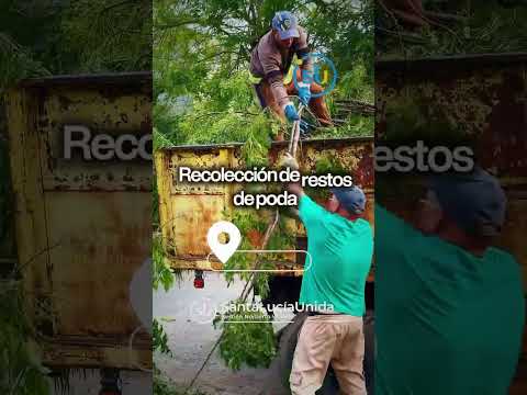 🚜🌿 Los trabajos en Santa Lucía no se detienen