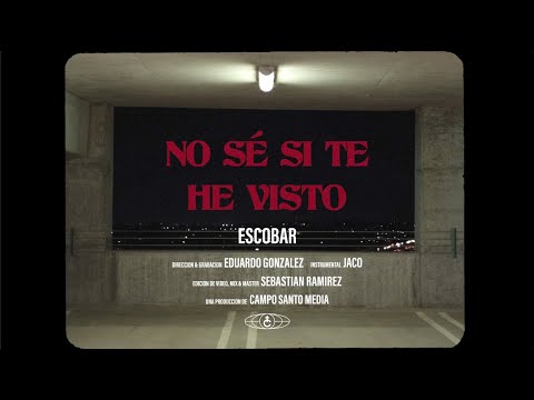 Miniatura de No S&eacute; Si Te He Visto