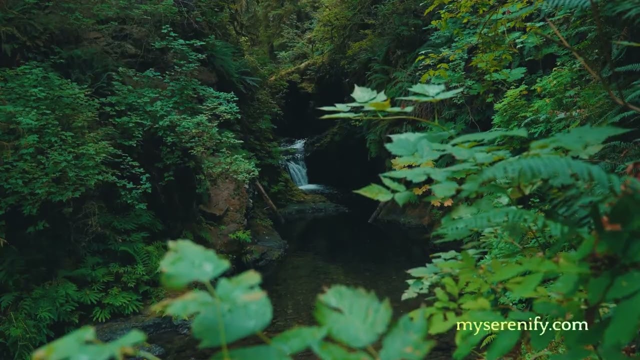 Understanding the Lyman Headspace Gauge for .30-06 Springfield