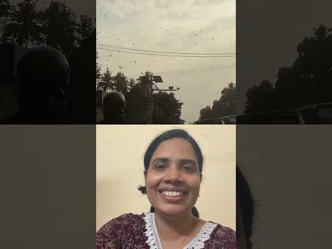 500 ഇപ്പൊ പോയേനെ🤣ആ ലാസ്റ്റ് ഡയലോഗ് 🤣