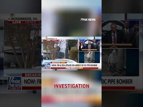 Watch: Bongino on the moment he knew they were solving the case #shorts #foxnews #news #us