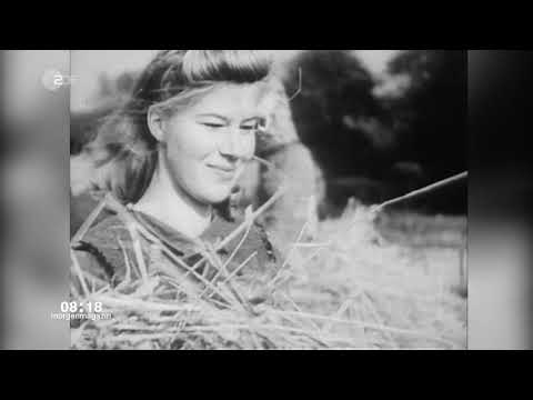 ZDF Morgenmagazin DDR Comic als Film 18.01.2019