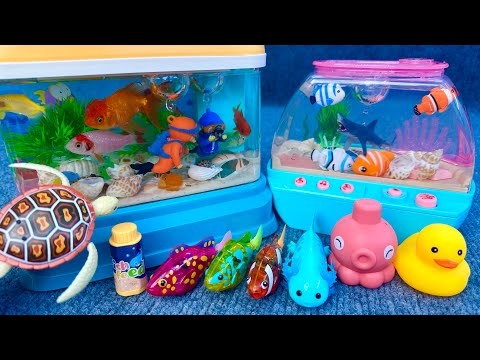 Satisfactory Unboxing Happy Aquarium Fishing Magnetic Fish Toy Set ASMR | Toy Evaluation