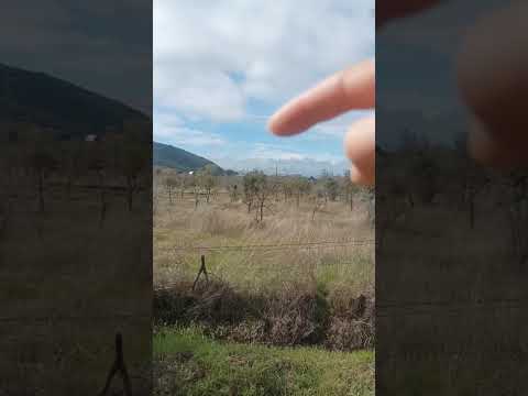 Parcelación Olivos de Marchigue, Región de O´Higgins Lote 75