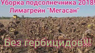 Уборка подсолнуха 2018! Измельчение палки МТЗ-82#NewHolland tc 5.90