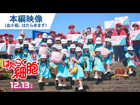 血小板、はたらきます！本編映像