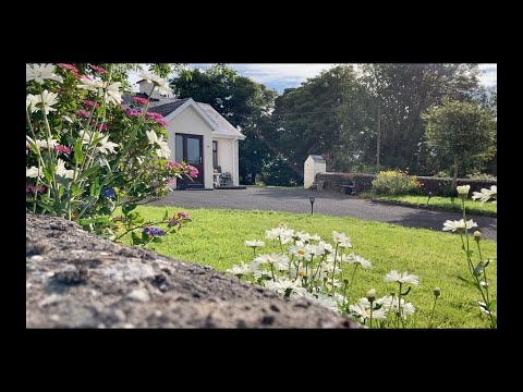 Moving to Ireland: First Four Months