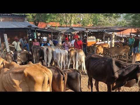 Nueva Guadalupe, San Miguel, El Salvador, miércoles 13 de mayo 2026