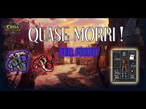 HUNT PALADIN 500+ (HARD) -  BASHMU - SET BÁSICO - PROFIT  1kk +