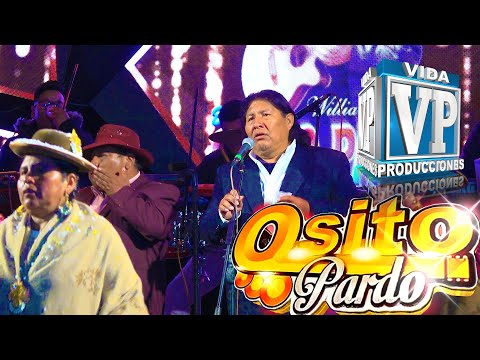 OSITO PARDO   EN VIVO  𝐏𝐔𝐄𝐑𝐓𝐎 𝐀𝐂𝐎𝐒𝐓𝐀