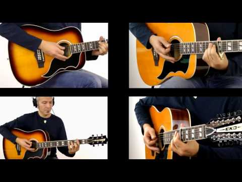 Eko Guitars RANGER VR Series - Hotel California (Eagles) played by Massimo Varini