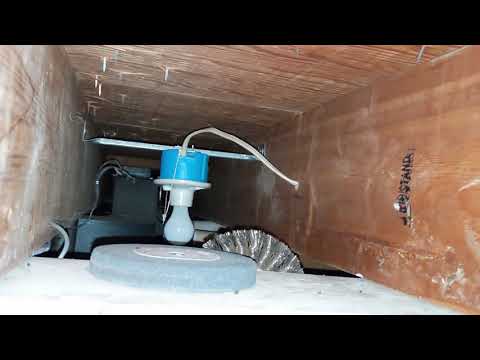 Exploring the Crawlspace - Southlawn Walkthrough