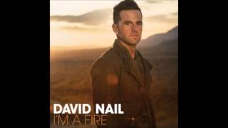 Broke My Heart - David Nail - DOWNLOAD