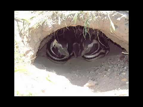 argentina : porto madrin 18 10 2002