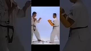 Andy Hugs devastating kicking combo Kyokushin karate legend