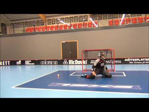 Warberg Goalie Camp - införklipp