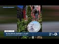 Honoring Barney Ford With Historic Marker In Denver