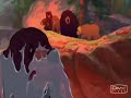 Brother Bear Broken