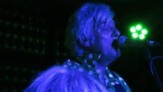 Robyn Hitchcock - Crystal Ship