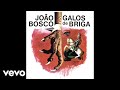 João Bosco - Gol Anulado (Pseudo Video)