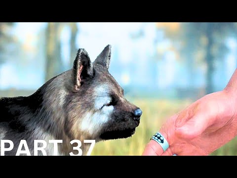 DAYS GONE PC Walkthrough Gameplay Part 37 | NO COMMENTARY