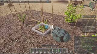 Ancient farm PS5 #2 農業で金稼ぎ。けっこう時間掛かる、、